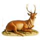 DEER Statuette statue figure Capodimonte porcelain handcraft made in Italy