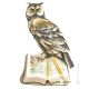 THE OWL TEACHER Statuette Statue Figure Porcelain Capodimonte Handmade Made in Italy Exclusive